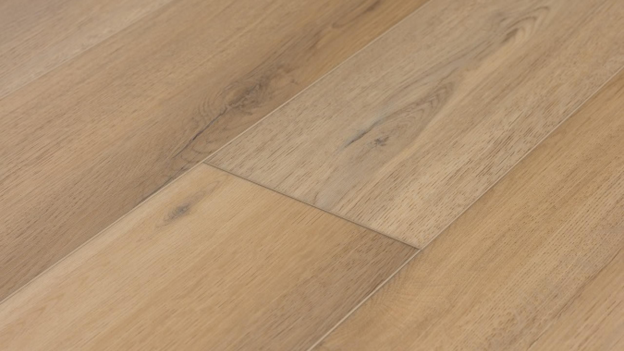 Cacey | Evoke