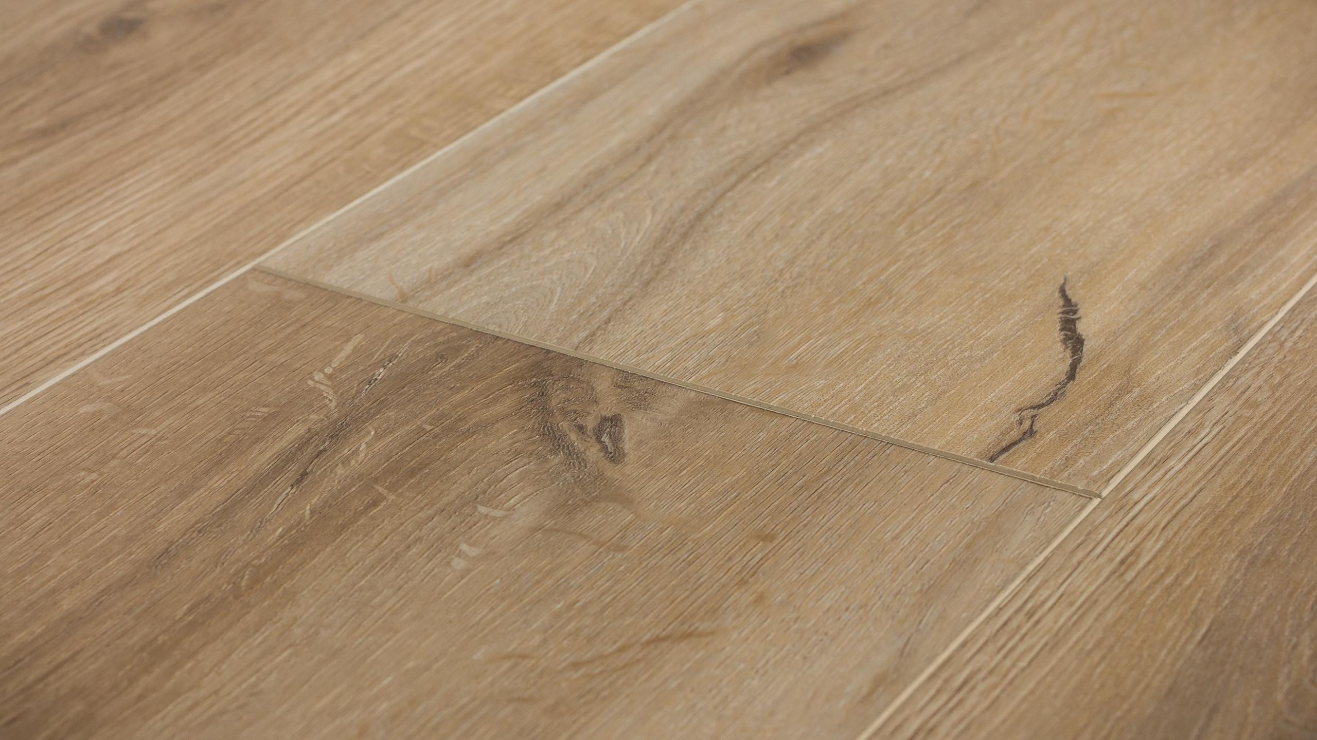 イヴォークヒステリア Howie | Evoke